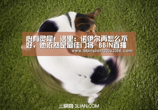 心有灵犀!洛里:诺伊尔再怎么不好,他依然是最佳门将-BBIN直播(图2) BBIN棋牌