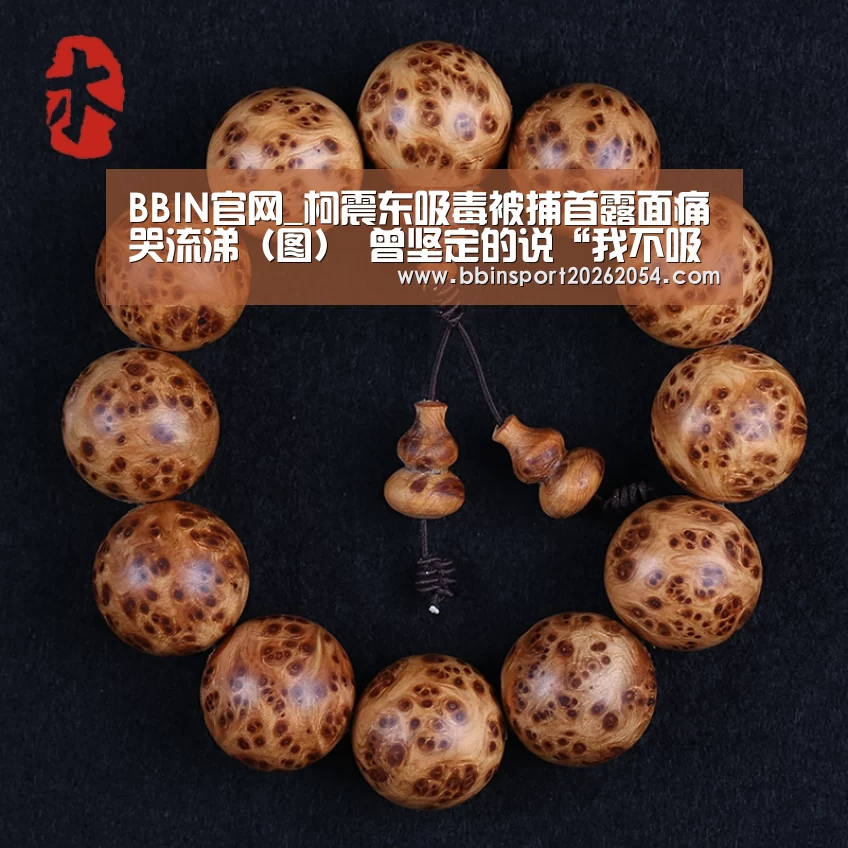 BBIN官网_柯震东吸毒被捕首露面痛哭流涕(图) 曾坚定的说“我不吸毒”(图3) BBIN棋牌