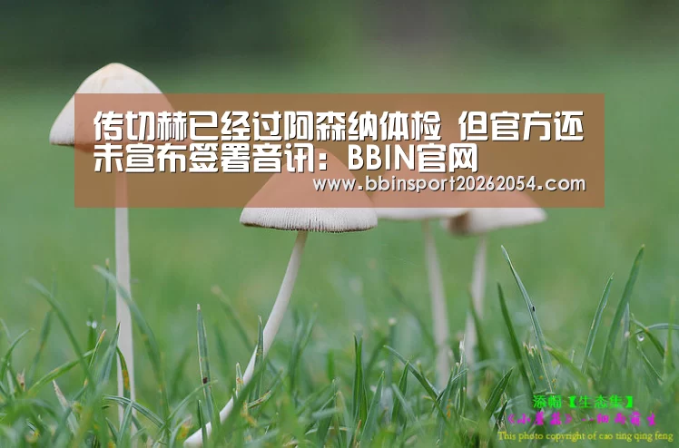 传切赫已经过阿森纳体检 但官方还未宣布签署音讯:BBIN官网(图1) BBIN百家乐