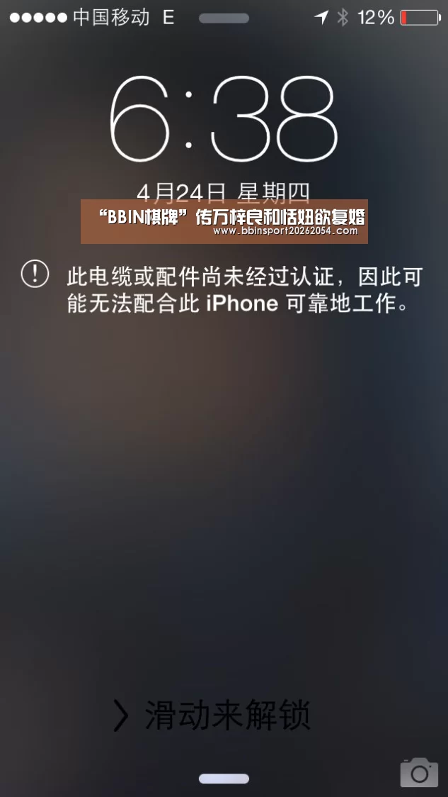 “BBIN棋牌”传万梓良和恬妞欲复婚(图3) BBIN棋牌
