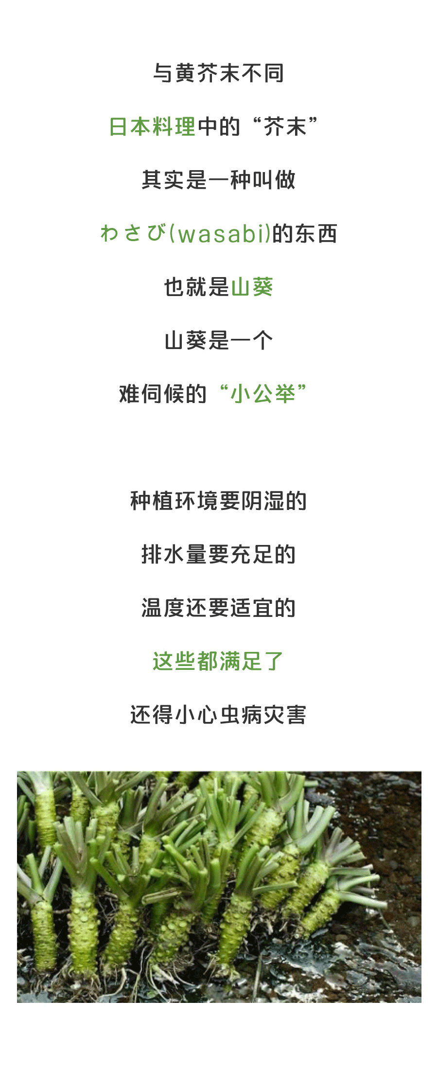 BBIN棋牌