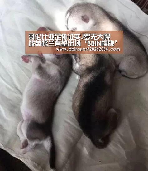 哥伦比亚足协证实J罗无大碍 战英格兰有望出场‘BBIN棋牌’(图1) BBIN直播