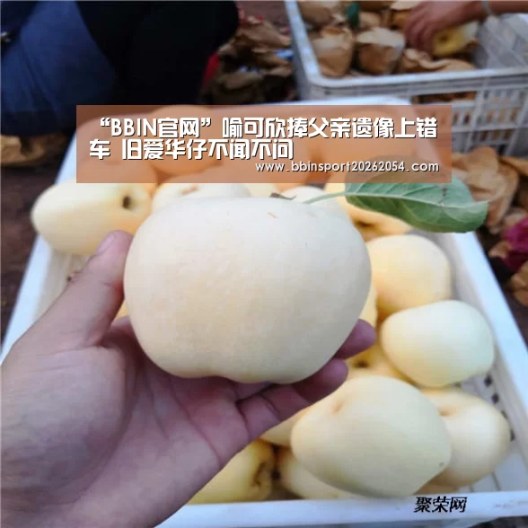 “BBIN官网”喻可欣捧父亲遗像上错车 旧爱华仔不闻不问(图3) BBIN官网